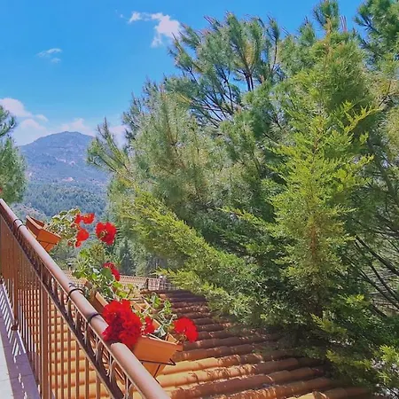 Mountain Bliss Villa
