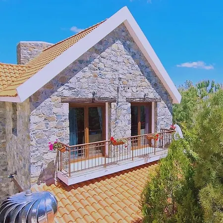Villa Mountain Bliss