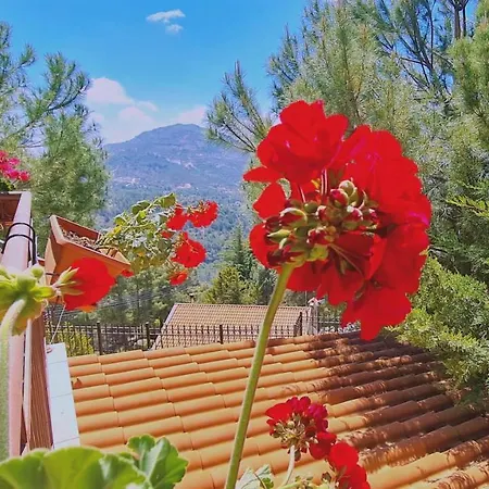 Mountain Bliss *
